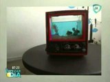Cómo convertir una vieja televisión en una hermosa pecera / inventos utiles