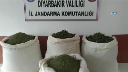 Diyarbakır'da 25 Kilo Skunk Maddesi Ele Geçirildi: 3 Gözaltı