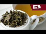 Té blanco ayuda a bajar de peso / Salud con Gloria Contreras