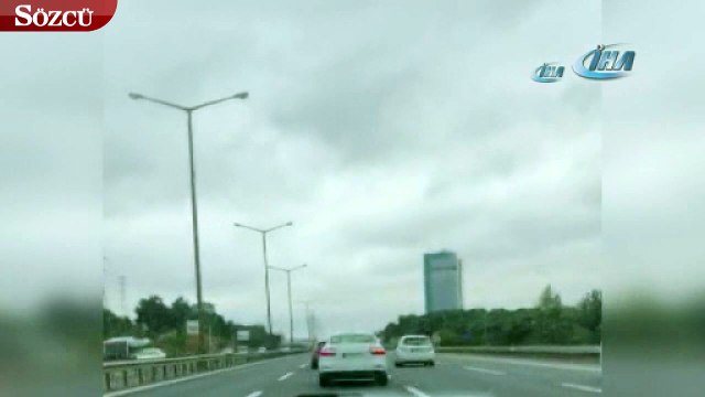 TEM Otoyolu'nda kedi ortalığı birbirine kattı