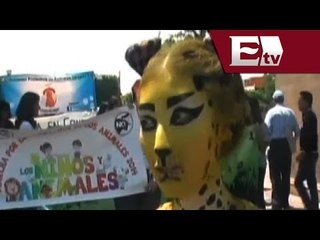 Marchan cientos de guanajuatenses contra el maltrato animal/ Titulares