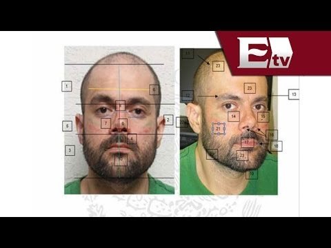 PGR confirma identidad de 'El Ingeniero' / Excélsior informa