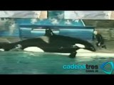 SeaWorld enfrenta juicio por poner en riesgo a los entrenadores