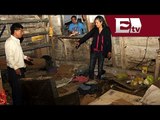 Segob declara emergencia en 30 municipios de Chiapas tras sismo  / Paola Virrueta