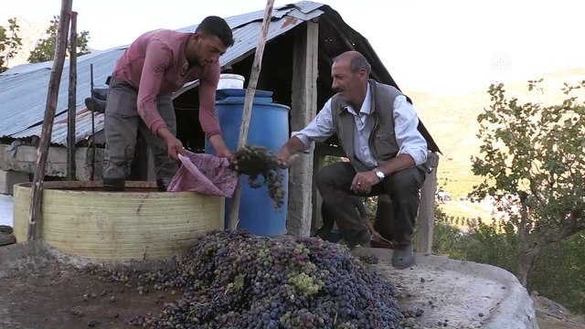 Kazanlar, İskambo pekmezi için kaynıyor - SİİRT