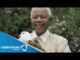 Nelson Mandela en estado vegetativo permanente / Nelson Mandela in vegetative state