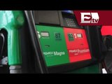 Venta de gasolina premium en México mantiene una tendencia positiva / Paul Lara