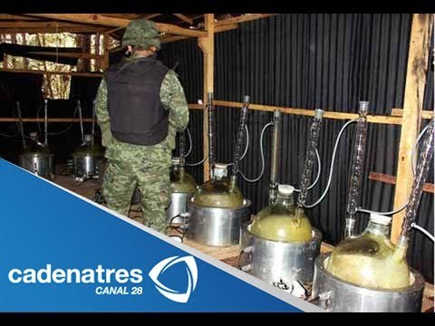 Desmantelan narcolaboratorios en Michoacán