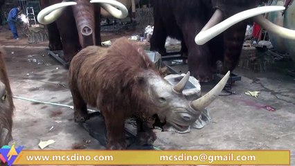 AFC001-Coelodonta(Woolly Rhino) Model