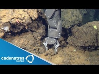 Muestran nuevas imágenes del volcán submarino Alarcón en Baja California Sur