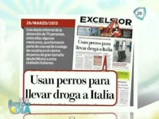 Sudamericanos trafican drogas con caninos