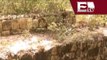 Destruyen y saquean edificio maya en Campeche  / Excélsior Informa