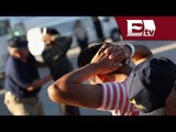 Detectan estafa a familiares de niños migrantes en EU  / Excélsior Informa