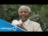 ¿Quién es Nelson Mandela? / Conoce la vida de Nelson Mandela