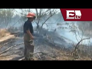 Se duplican los incendios en Rey nosa, en la frontera de Tamaulipas  / Excélsior Informa