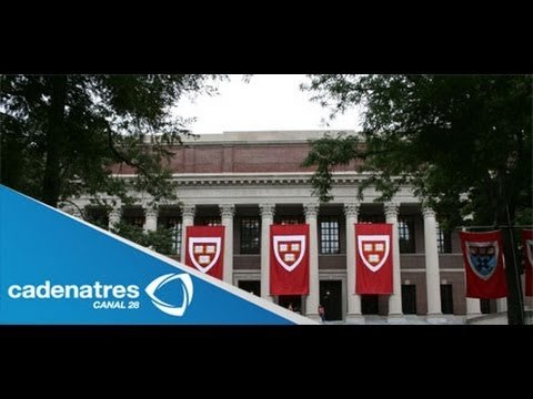 Alejandra Sota llega a Harvard sin haber terminado su licenciatura en Ciencias Políticas