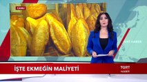 Bir Ekmeğin Maliyeti Ne Kadar? İşte Cevabı...