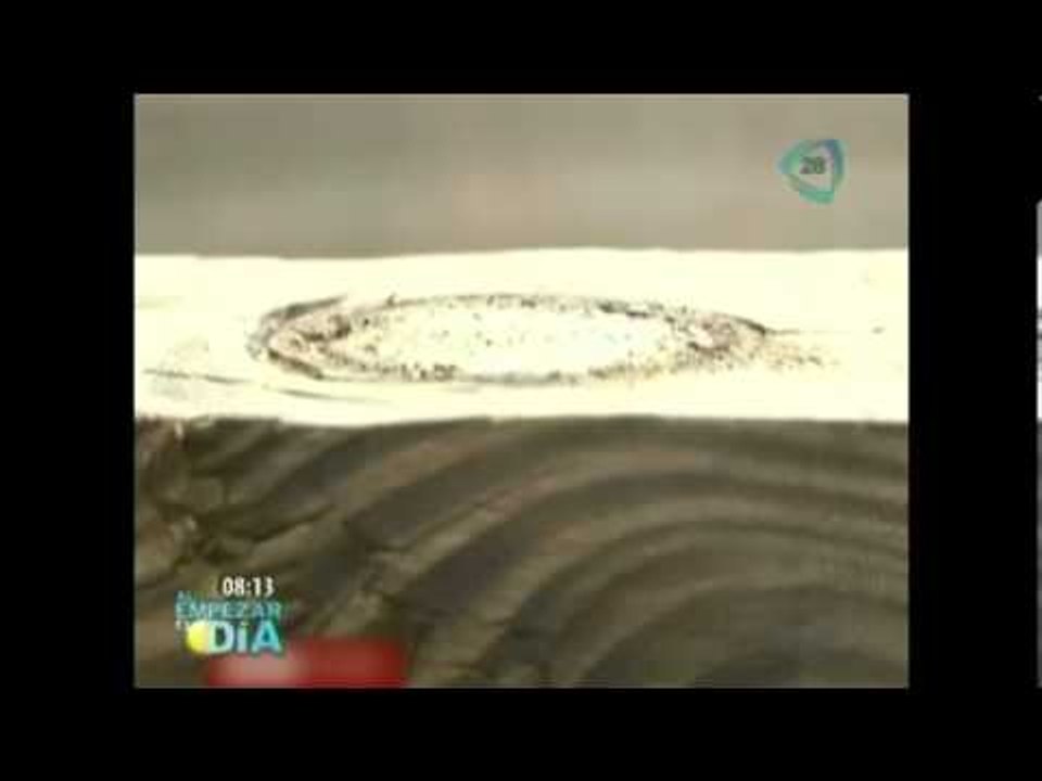 Impresionante Arca Noe cerca de Miami / Impressive Arca Noe near Miami