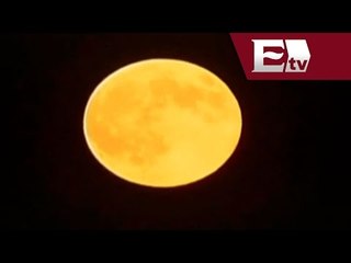 Este domingo, se podrá ver la luna más brillante del año  / Comunidad
