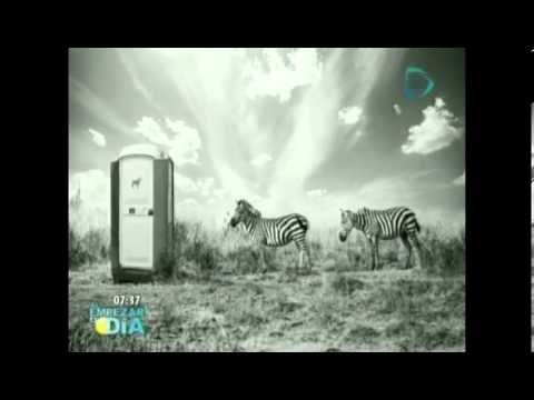 Impresionantes imágenes hakuna matata Thomas Subtil / Thomas Subtil, artista Francés