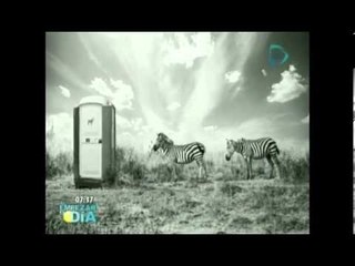 Impresionantes imágenes "hakuna matata" Thomas Subtil / Thomas Subtil, artista Francés
