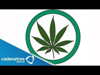 No debe haber legalización de mariguana pues "No somos holandeses": Miguel Torruco