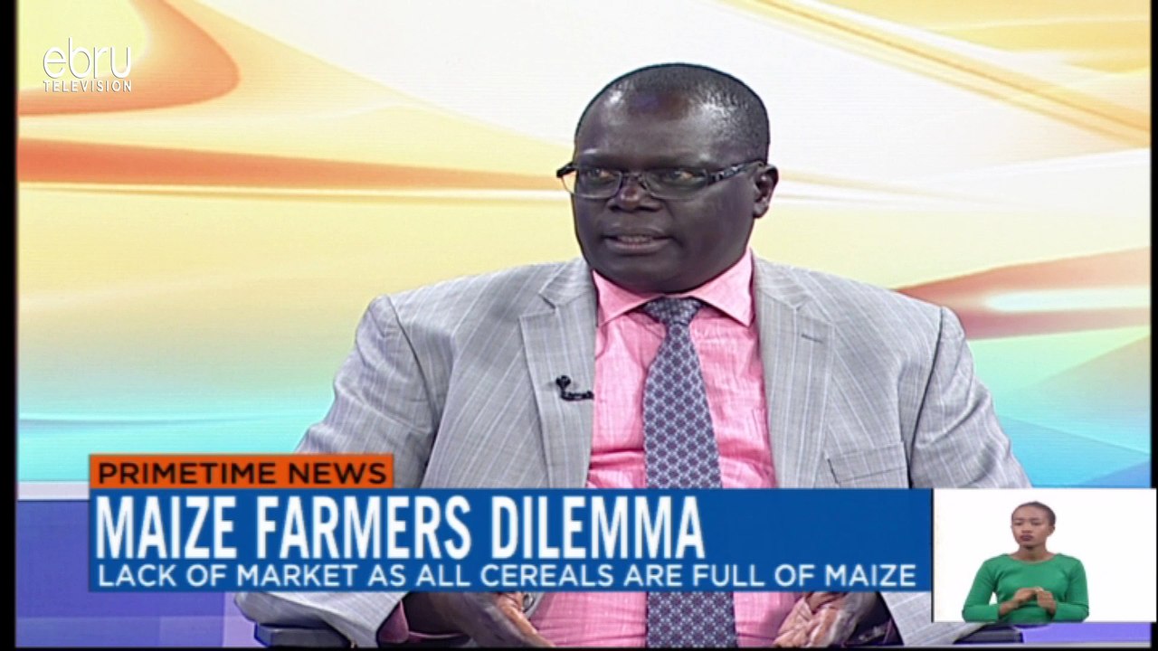 Maize Farmers Dilemma Discussion With Wilson Kogo