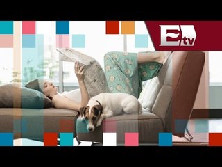 Vivir solo y el sentimiento de soledad/ Entre Mujeres