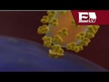 Canadá enviará a OMS vacuna experimental contra ébola / Vianey Esquinca