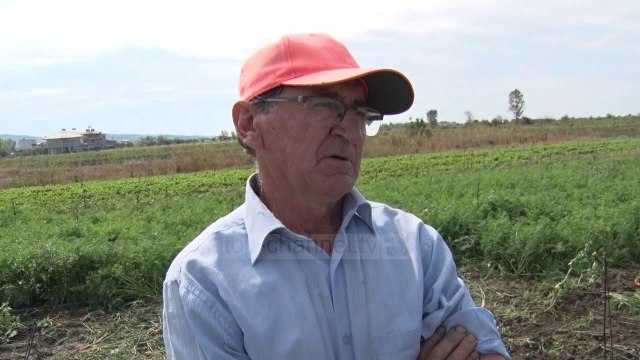 Shumë punë për një kafshatë - Top Channel Albania - News - Lajme