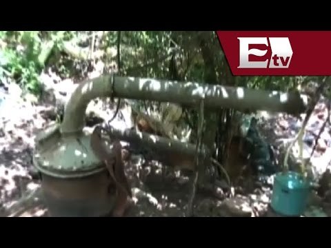 Aseguran 5 narcolaboratorios en Sinaloa y Durango / Excélsior informa