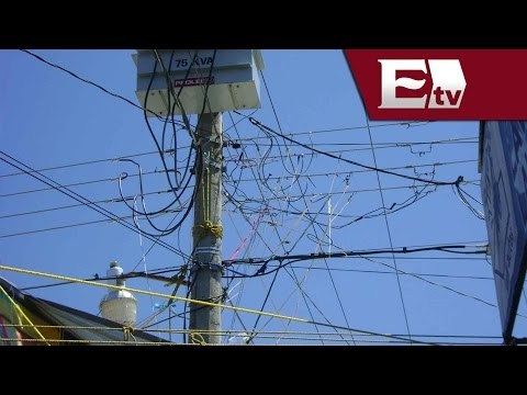 Diablitos un problema para la CFE / Paola Viruueta