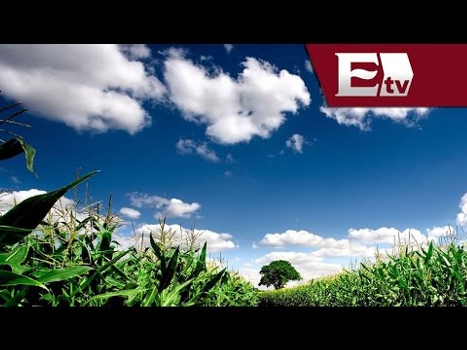 Inversiones al campo por más de 300 mil mdp  / Excélsior informa