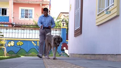 Bağlanarak çuvalla çöpe atılan 'DOST' görme engellilerin umudu oldu