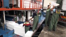 Balıkçılar limana binlerce kasa dolusu palamutla döndü - SİNOP