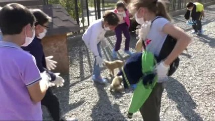 Öğrenciler Yavru Köpekleri Doyasıya Sevdi
