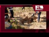 Descubren en Edomex fosa clandestina con restos humanos / Todo México