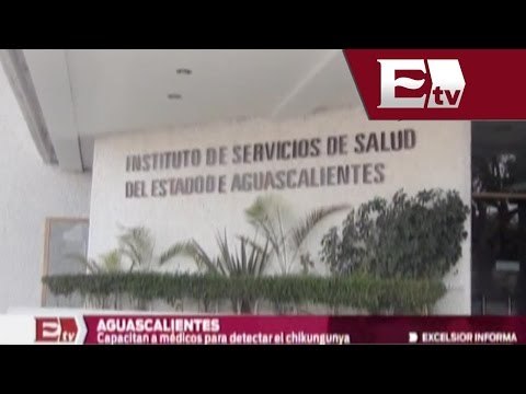 Capacitan en aguascalientes a medicos para detectar el virus chikungunya / Excélsior en la media