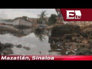 Mueren miles de peces por contaminación en Mazatlán / Excélsior informa
