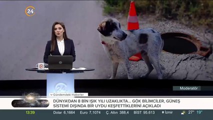 3 gün boyunca kuyuda kalan köpek kurtarıldı