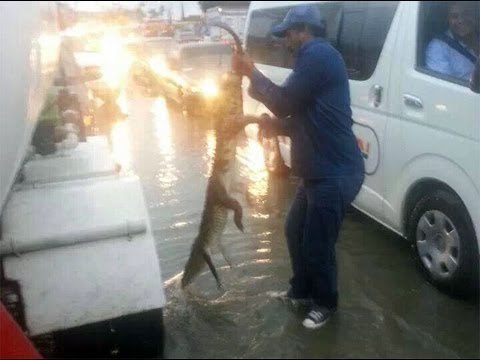 Fuertes lluvias azotan al estado de Tamaulipas y dejan severos daños por tormenta Fernand