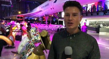 Gromit Unleashed 2 Auction At Aerospace Bristol!