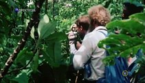 Attenborough - 60 Év A Vadonban S01e03