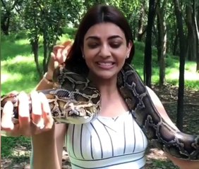 Kajal Agarwal Shooting With Snake Despite Of fear