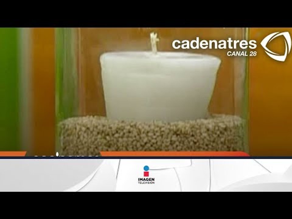 VELAS CON SEMILLAS. ¿Cómo hacer velas con semillas?
