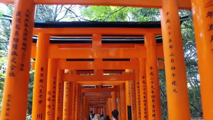 First Day in KYOTO - Sightseeing for a Day   KimDao