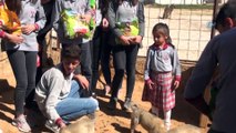 Ortaokul öğrencileri harçlıklarıyla aldıkları mamaları elleriyle köpeklere yediriyor