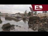 Aparecen miles de peces muertos en Mazatlán  / Paola Virrueta