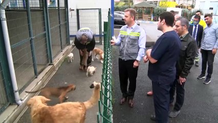 Dünya Hayvanları Koruma Günü’nde Gaziosmanpaşalı çocuklar minik dostlarını yalnız bırakmadı