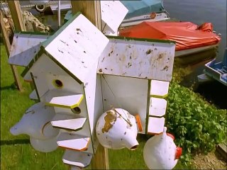 A Madarak Élete - 10. Az Alkalmazkodás Határai (The Limits Of Endurance)